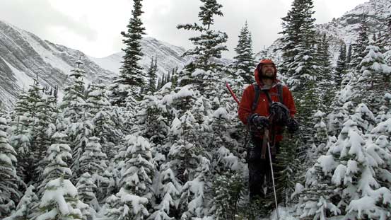 Oh the krumholtz... We had to bash a long section of these. Got soaked in no time...