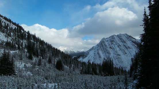 Another view taking advantage of the temporary blue sky. Note the young trees in foreground.