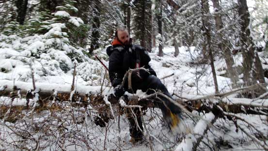 Bushwhacking with crampons on.