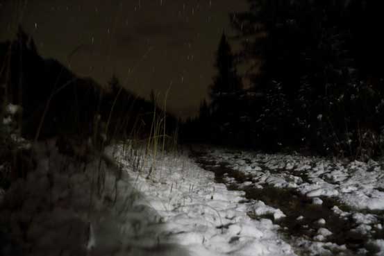 Night scene from Jasques Lake trail. Photo by Ben
