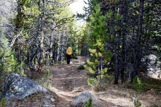 Me hiking through the typical forecast. Photo by Ben