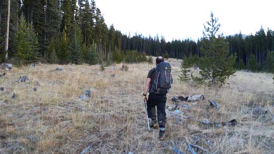 Utilizing a series of clear-cuts to minimize bushwhacking