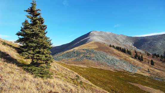 We were also surprised by the dryness in this area. Can't believe it's November...