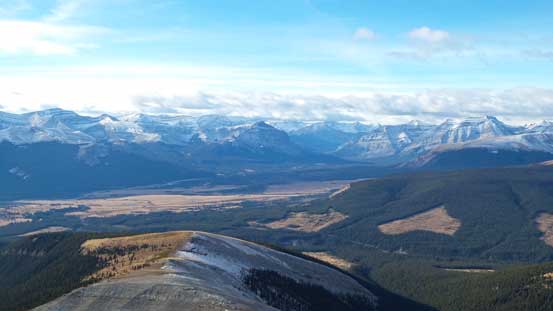 The grassland in this area are massive - no wonder why horses like here.