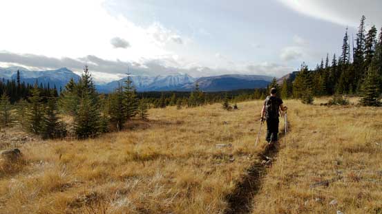 We picked up Poplar Ridge Trail