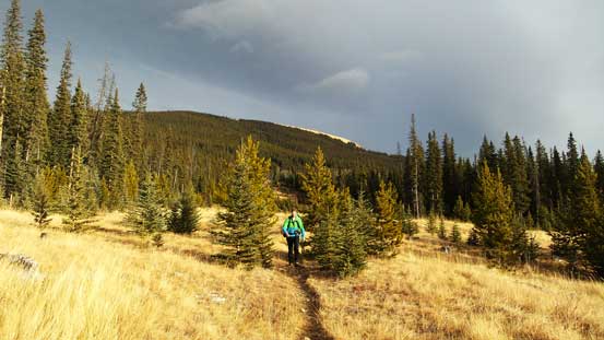 Looking back on Poplar Ridge Trail