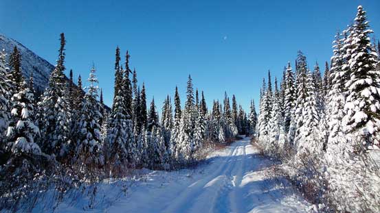 The logging road. In summer we could shave another 5 km off. 