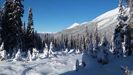 Following "Morning Glory" snowmobile run for a while