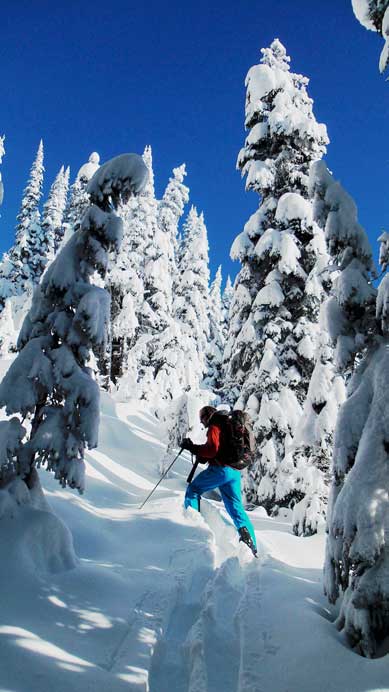 Now, post-holing started. I like the snowy trees though.