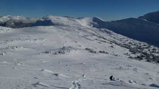 No wonder why snowmobilers like Clemina Creek area. Would be prime ski terrain too!