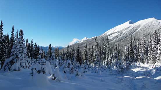 Back to lower elevation