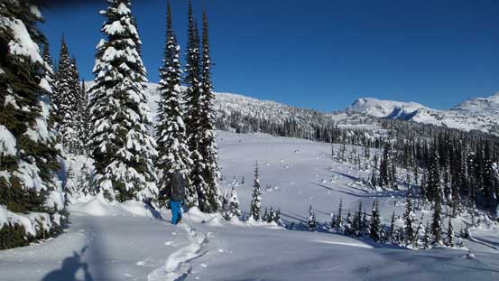 Hitting treeline zone. View suddenly opened up