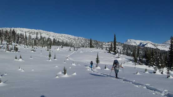 Back to the treeline travel