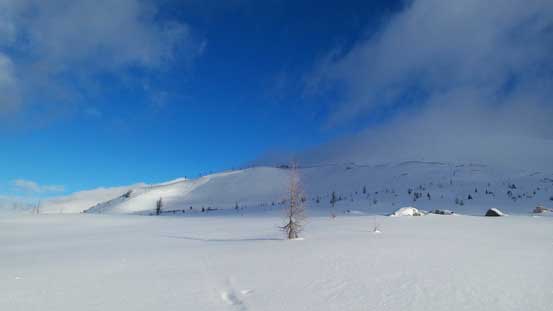 A view towards Brewster Rock
