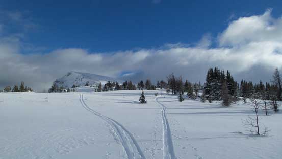 Back to the Sunshine Meadows, looking back