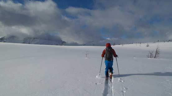 Entering an open area