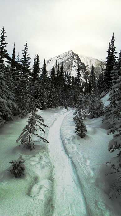 Following a well-packed snowshoe trail