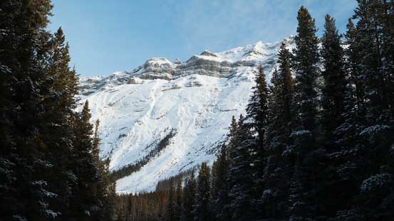 Through the trees we got some brief view of the impressive Cone Mountain