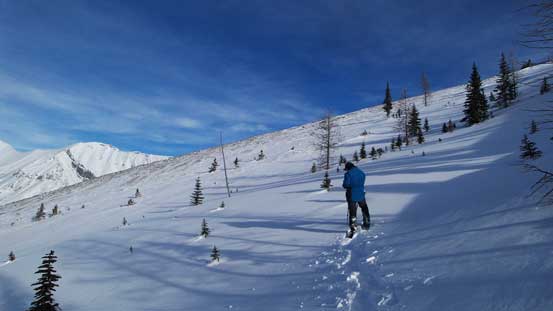 Near treeline. We veered left to hit the wind-blown slopes