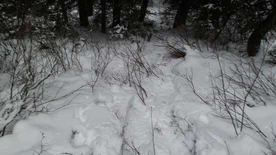 See the problem? We need more snow....