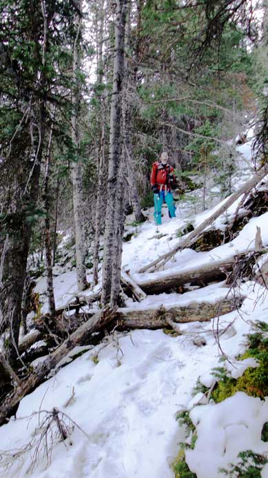We bypassed the first wall through steep bush