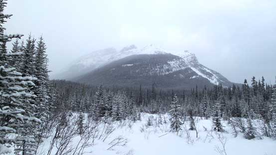 Boom Mountain view from near the parking lot