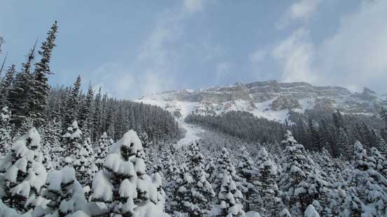 Arrived at the base of our ascending gully. Note the bush ahead...