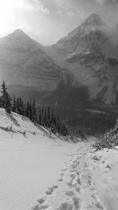 Looking down the avalanche gully