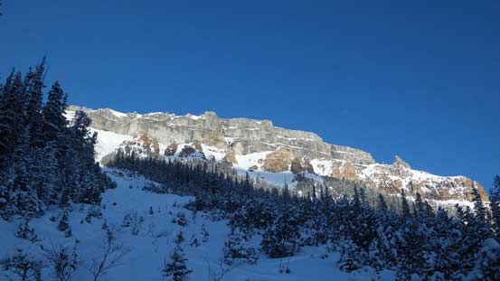 Looking back at our objective