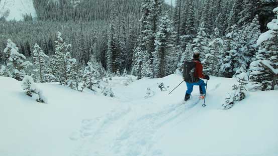 Lower down skiing improved