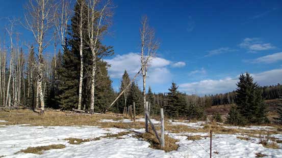 As you can see we were following a fence line