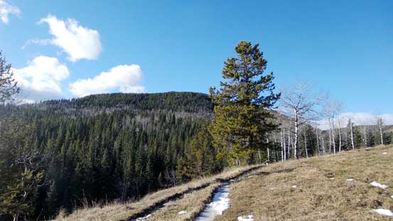 The treed bump in front is Mt. Dyson