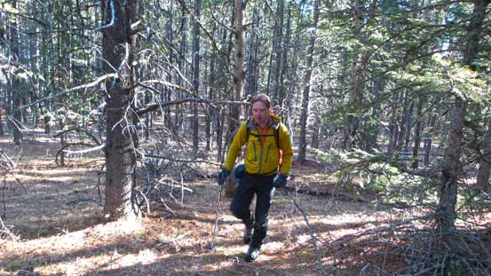 Raff hiking in the forest