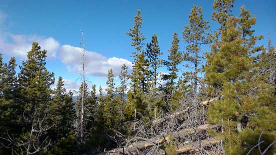 A view from the summit ridge...
