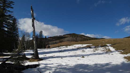 A view from the descent