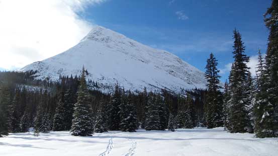 Down to Rink Creek now, looking back towards Tete Roche