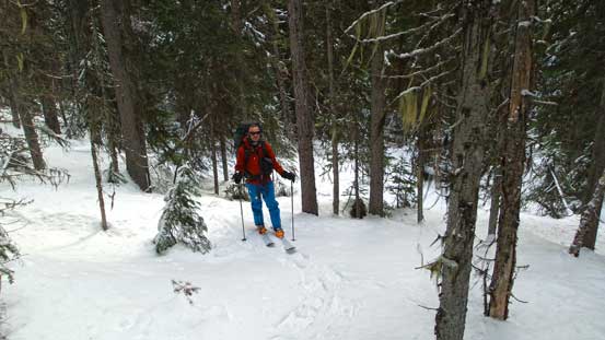 Open trees skiing into the "unknown". Up and over the next rib we'd traverse along a long flat bench.