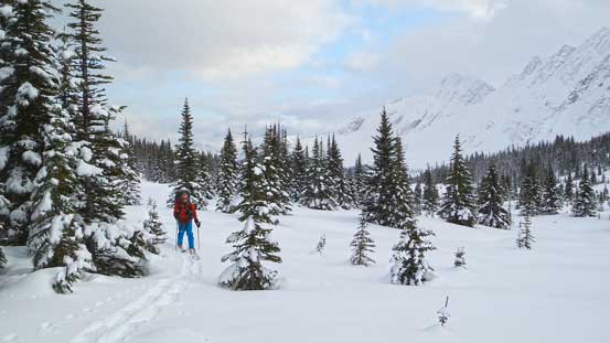 Skiing upwards along the tributary of Miette River. Terrain starts to open up again.