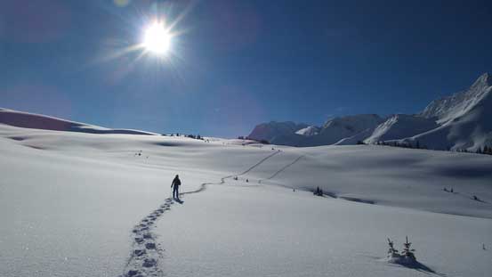 Nice and open terrain