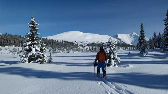 Almost at the central Miette Pass. The "north peak" in front
