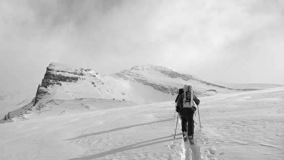 After a wide contouring we finally could aim directly towards the Hut