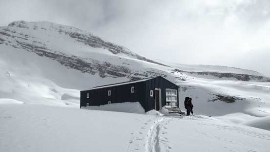 Here's the Peyto Hut