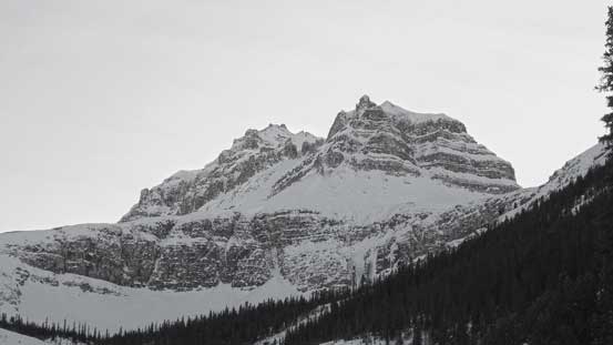 Peyto Peak looks very impressive from this angle!