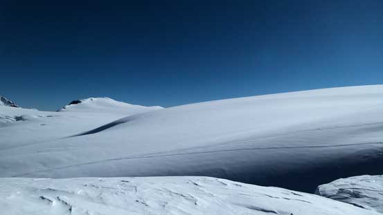 The immense Icefield!