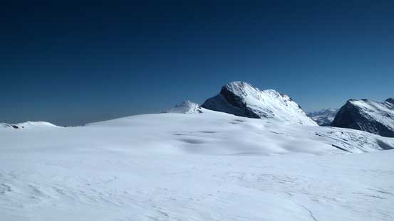 Mt. Macoun across Illecillewaet Neve