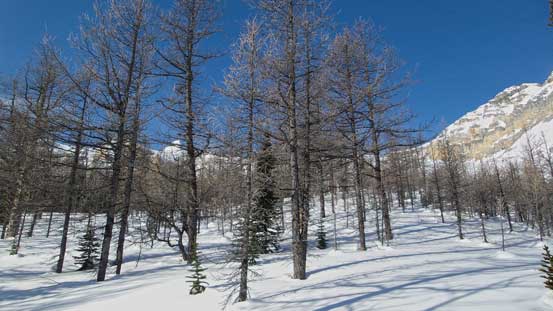 This area would be super gorgeous in the fall too!