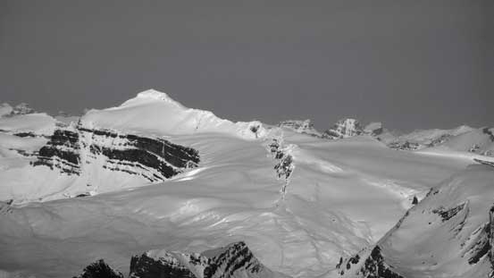 The king of the Wapta - Mt. Balfour