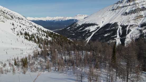 Almost back to the treeline