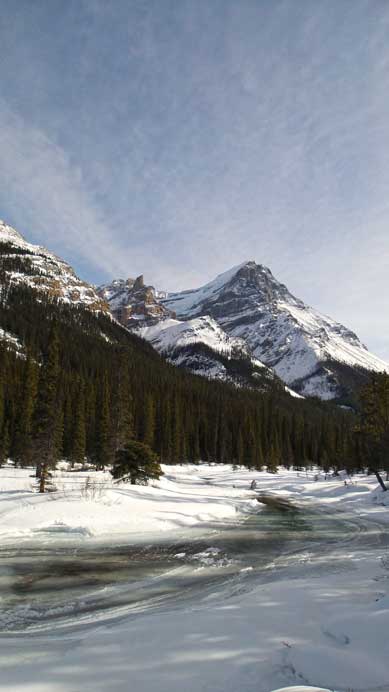 Down to the Cataract Brook now, looking towards North Victoria
