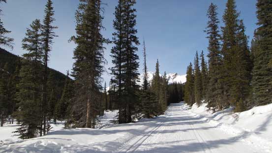 Back to the final slog along the Lake O'Hara road
